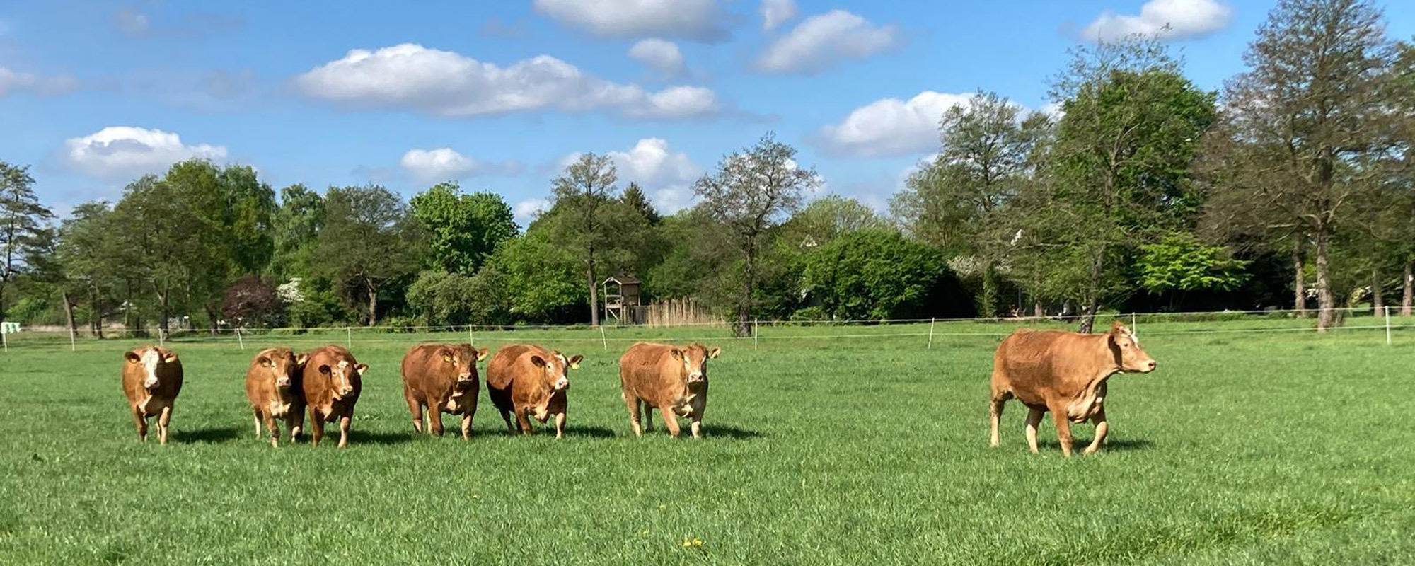 Schumachers Biohof in Bremen Borgfeld